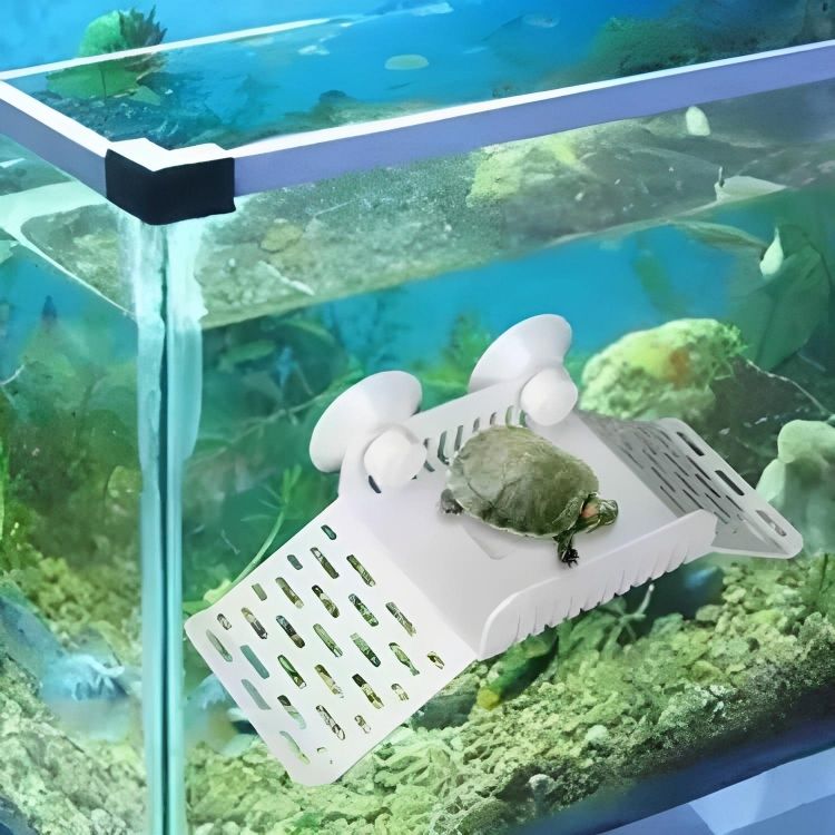 Turtle shop aquarium stand