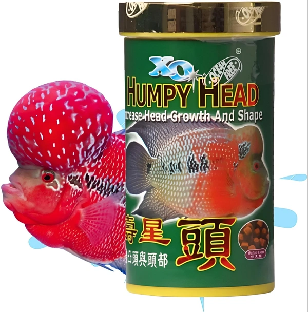 Humpy Head ( Original)100 Gm|Food For Flower Horn Fish|Increase Head Growth & Shape - 100 Gm