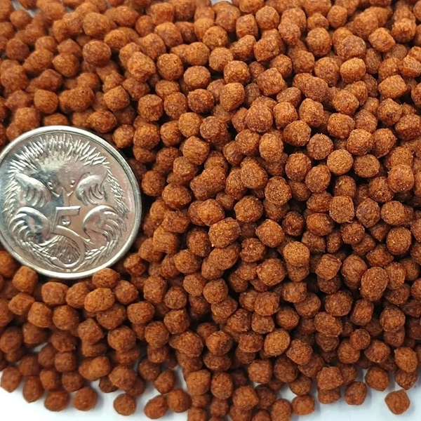 Humpy Head ( Original)100 Gm|Food For Flower Horn Fish|Increase Head Growth & Shape - 100 Gm
