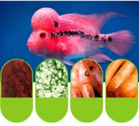 Humpy Head ( Original)100 Gm|Food For Flower Horn Fish|Increase Head Growth & Shape - 100 Gm