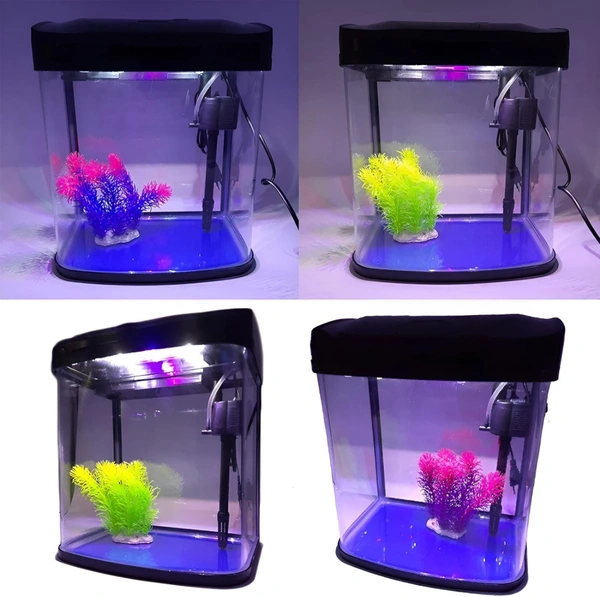 RS 300A Premium Glass Aquarium with LED Lighting and Top Filter - RS-300A 20L