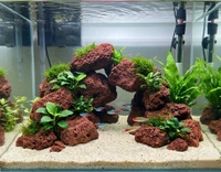 Natural Red Lava Rock & Black Lava Rock for Aquarium Aquascaping | Volcanic Lava Stone for Biological Filtration & Hardscape - 5 Kg