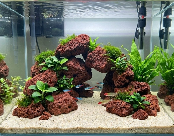 Natural Red Lava Rock & Black Lava Rock for Aquarium Aquascaping | Volcanic Lava Stone for Biological Filtration & Hardscape - 5 Kg