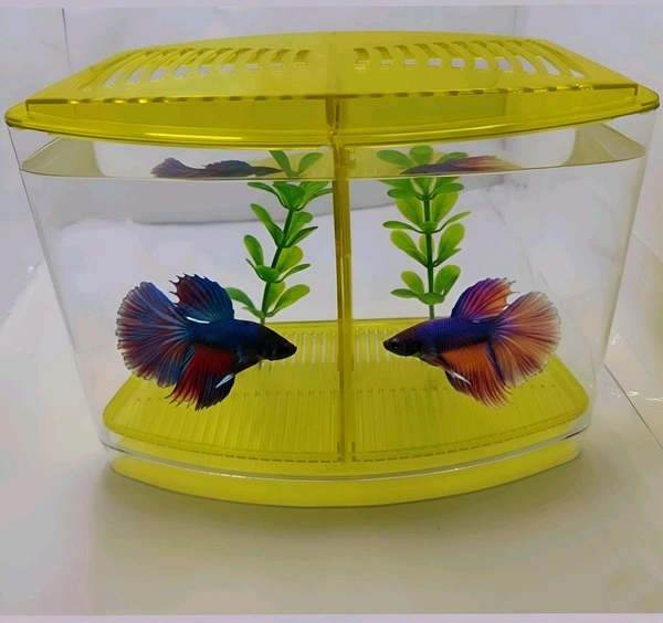 Taiyo Double House Betta/Fighter Fish Tank|Acrylic|With LED Light - Yellow, 1.5 Litre