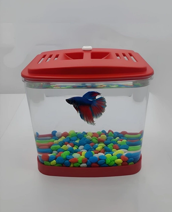 Single Betta House For Betta/Fighter Fish|ACRYLIC|With LED Light - 7.5 ML, Red