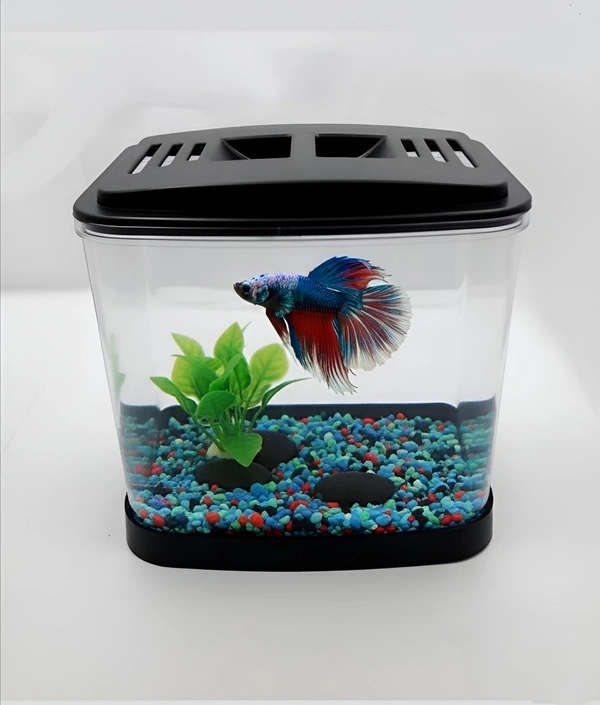 Single Betta House For Betta/Fighter Fish|ACRYLIC|With LED Light - 7.5 ML, Black