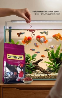 PCG Optimum Optimum Fish Food 1kg – Premium Mini Pellet Feed for All Aquarium Fish - 1KG