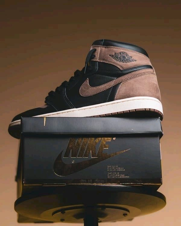 Nike NIKE AIR JORDAN RETRO 1 PALOMINO SEMI UA - 45