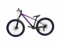 Custom Build mtb stunt cycle purple and black combination with Alloy-steel body