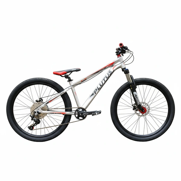 Custom Build Cycle.