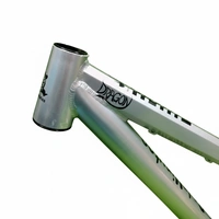 Custom Build MTB Stunt Bike Frame.