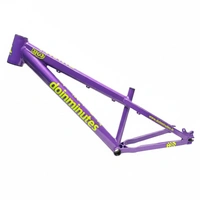 Custom Build MTB Stunt Bike Frame.