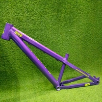 Custom Build MTB Stunt Bike Frame.