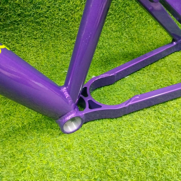 Custom Build MTB Stunt Bike Frame.