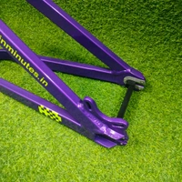 Custom Build MTB Stunt Bike Frame.