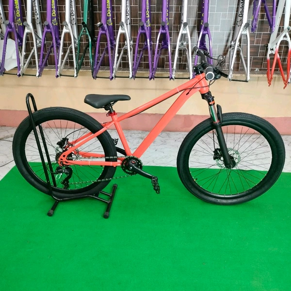Custom Build MTB Stunt Bike Cycle 26" Alloy  Steel Frame 14"Down Frame With Hydraulic Brake Logan Indian Standard 
