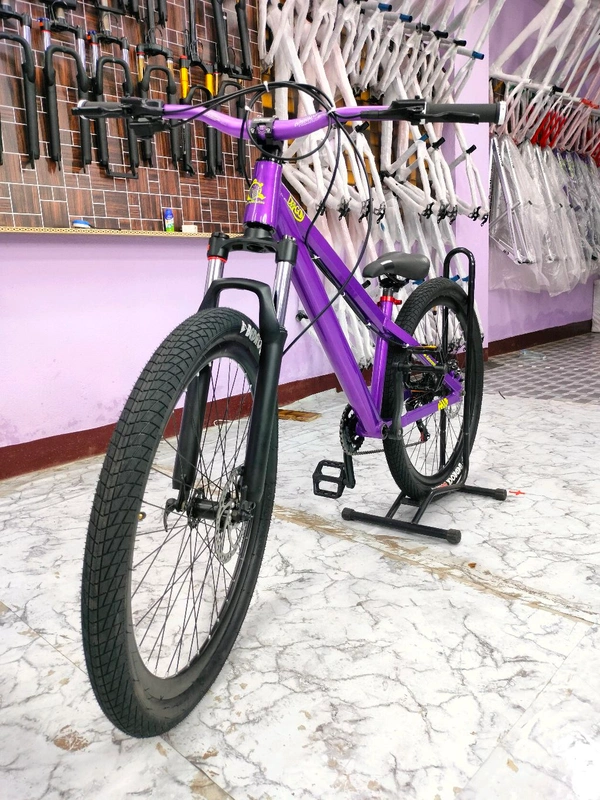 Custom Build MTB Stunt Bike Cycle 26" Alloy Frame