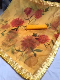 Organza Saree - More colors available