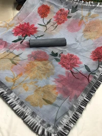 Organza Saree - More colors available