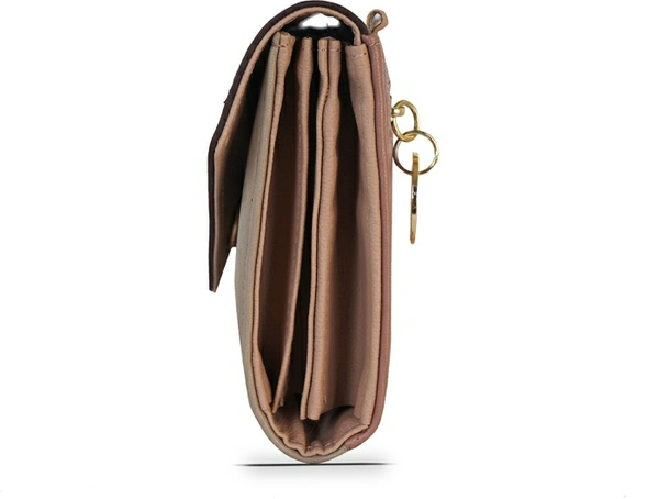Baggit Casual Multicolor Clutch
