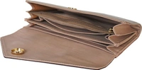 Baggit Casual Multicolor Clutch