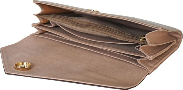 Baggit Casual Multicolor Clutch