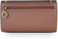 Baggit Casual Multicolor Clutch