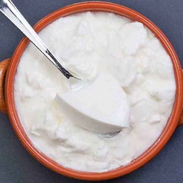 Plain Dahi VR-001
