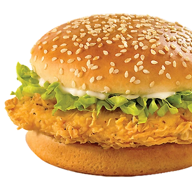 NON-VEG BURGERS