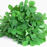 methi - 1Piece