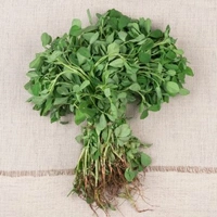 methi - 1Piece