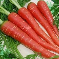 gajar (ಗಜರಿ)  - 500GM