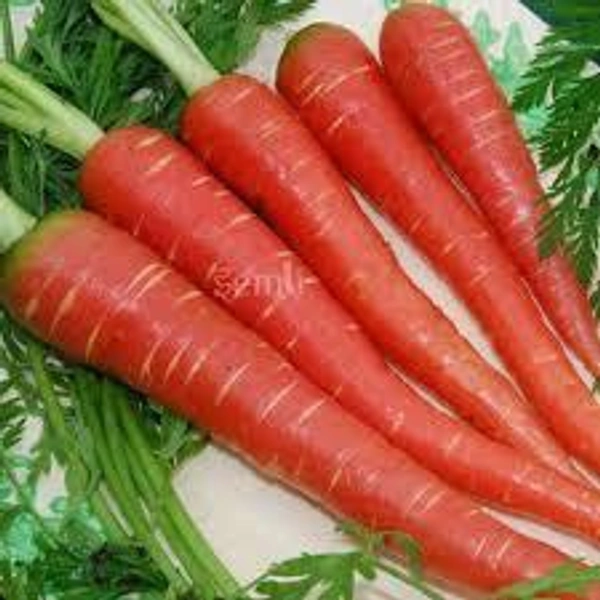 gajar (ಗಜರಿ)  - 500GM