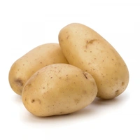 Aalu (ಆಲೂಗಡ್ಡೆ.)  - 1 kg