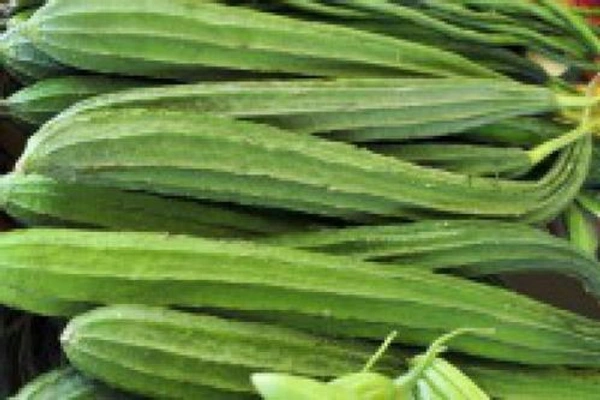 Turai (iಹೀರೆಕಾಯಿ.)  - 500GM