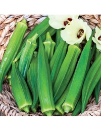 bhindi (ಬೆಂಡೆಕಾಯಿ.)  - 500gm