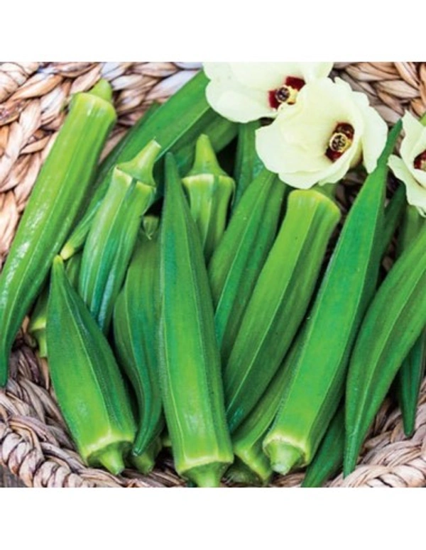 bhindi (ಬೆಂಡೆಕಾಯಿ.)  - 500gm