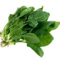 Palak - 1Piece