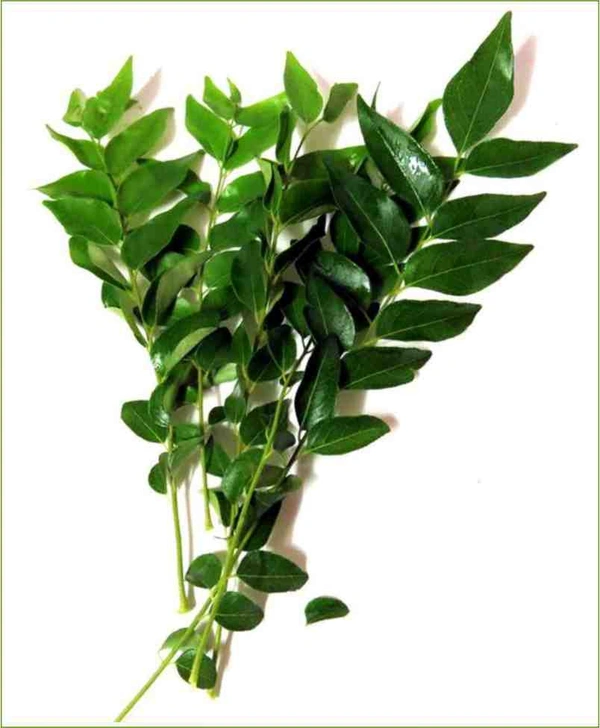 Kadi Patta (ಕರಿಬೇವು.)  - 1 piece, 1