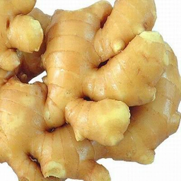 adrak (ಶುಂಠಿ)  - 250 gm