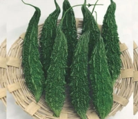 Karela (ಹಾಗಲಕಾಯಿ.)  - 250 gm