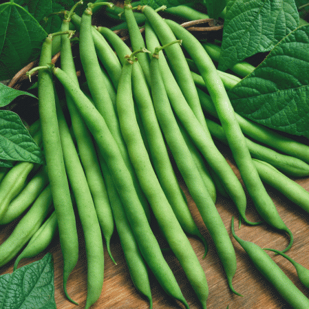 Beans (ಬೀನ್ಸ್)  - 250 gm
