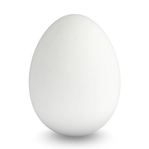 Egg - 1