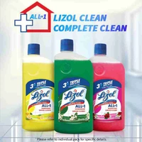 Lizol Floral - 500 Ml