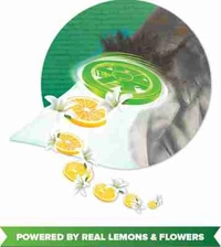 Wheel Active 2 In 1 Detergent - 1 Kg