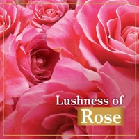 Lux Rose Skin Soap Bar - Pink, 100 Gm