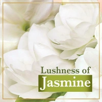 Lux Rose Skin Soap Bar - White, 100 Gm