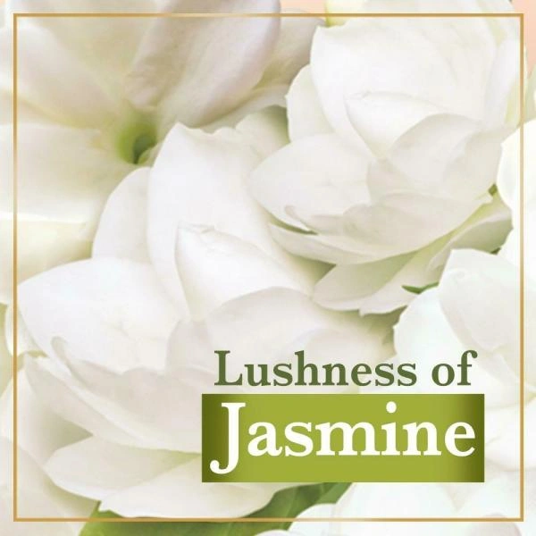 Lux Rose Skin Soap Bar - White, 100 Gm