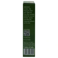 Everest Sambhar Masala 100 g - 100 Gm