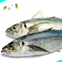 കണ്ണൻ കൊഴിയാള | Finletted Mackeral | Kozhiyala  [Whole] - 1KG